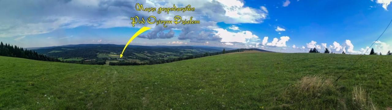 Ferienhaus - Pod Ostrym Dzialem Ustrzyki Dolne